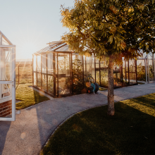 Viktorianisches Glashaus im Set