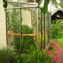 Viola II - Anbaugewächshaus im SET