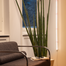 LED Lichtleiste Florabooster 200