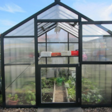 Bio Top II Gewächshaus