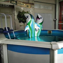 Ausstellungsstück Abverkauf Pool Set Deluxe