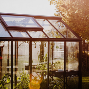 Glashaus kaufen einfach gemacht!